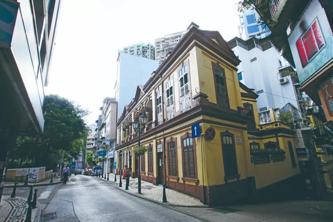 澳门今晚必开一肖,神秘生肖与狗的独特缘分,澳门今晚必开一肖,神秘生肖与狗的独特缘分揭秘