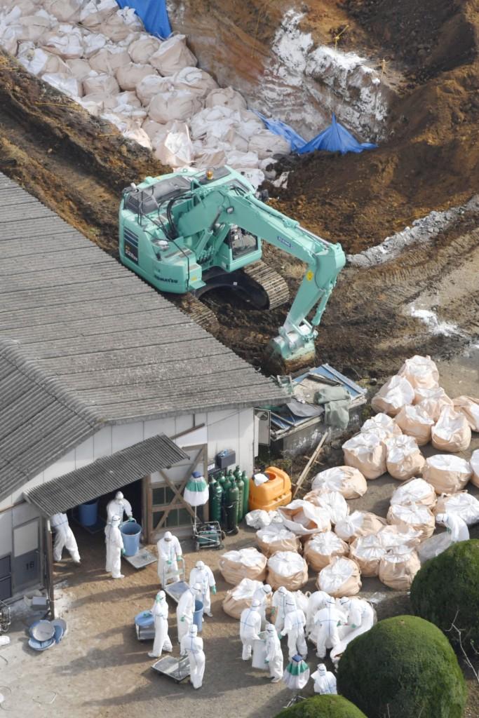 日本视角下的直-20直升机观察,日本视角下的直-20直升机观察分析