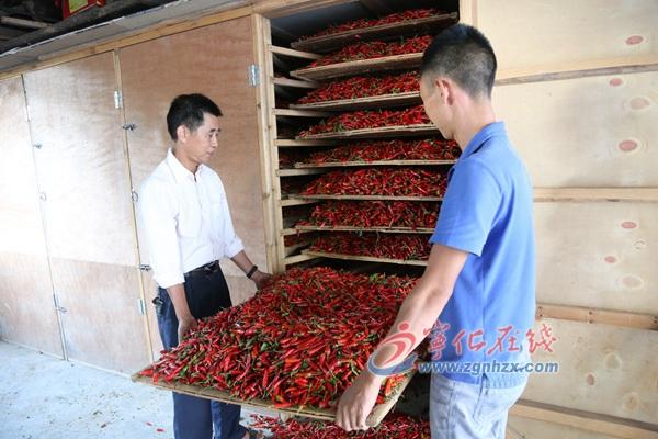 王中王免费资料大全料大全一一l,深度解析与探索,王中王资料大全深度解析与探索