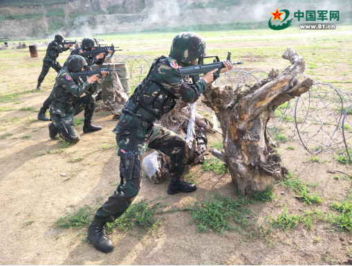 中华人民共和国陆军第一集团军的荣耀与担当,陆军第一集团军,荣耀与担当的典范