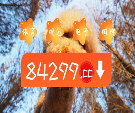 澳门天天免费精准大全——探索澳门的文化与魅力,澳门文化与魅力,天天免费精准大全探索