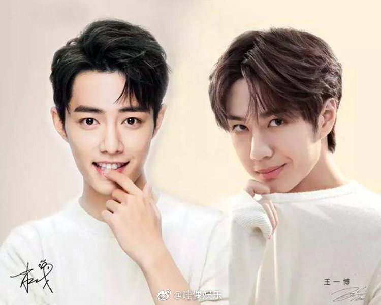 王中王一肖资料详解,王中王一肖资料大全解析