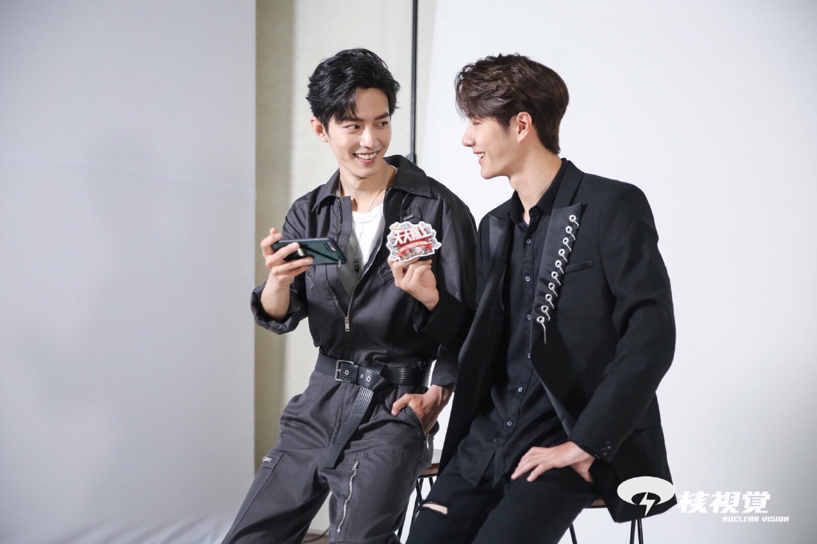 王中王一肖资料详解,王中王一肖资料大全解析