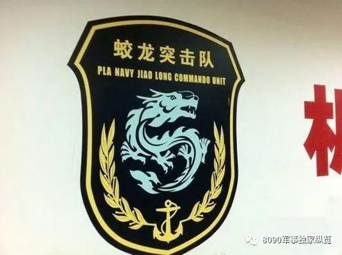 揭秘蛟龙突击队臂章高清背后的故事，揭秘蛟龙突击队臂章高清背后的传奇故事
