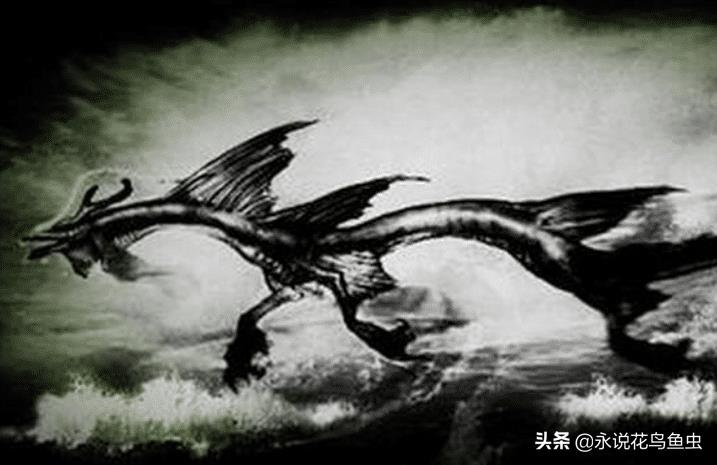 蛟龙突击队红海行动原型，英勇无畏，展现中国力量，蛟龙突击队原型，红海行动——展现中国力量的英勇无畏战士