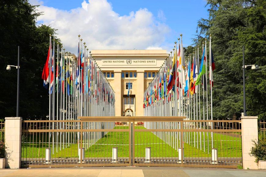 新澳门特免费资料大全与凯旋门,探索与赏析,澳门特免费资料大全与凯旋门,深度探索与赏析