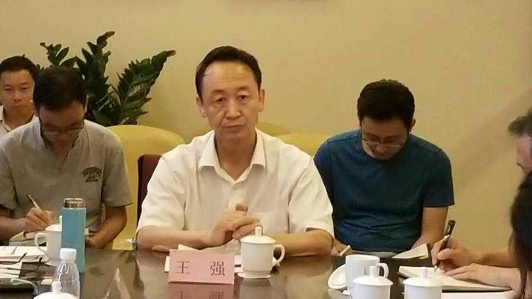 解放海南岛,提前打的战略构想及其提出者,解放海南岛,战略构想及其提出者的前瞻思考