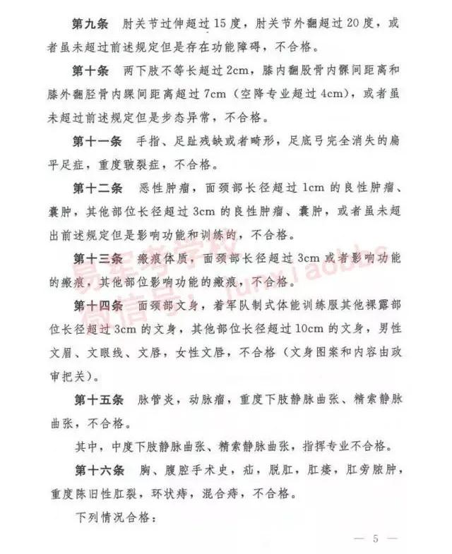 全面解读与分析