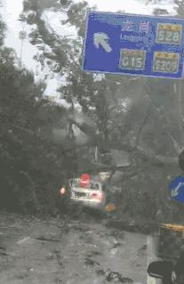 深度探讨与解析