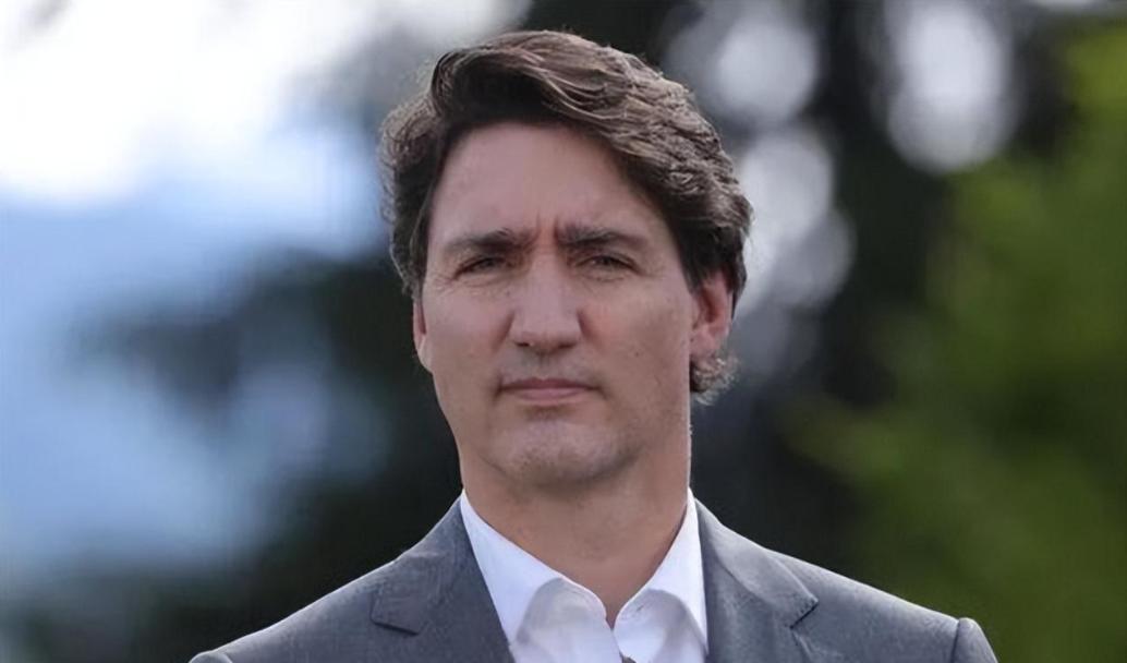 孟晚舟事件最新消息全面解析,孟晚舟事件最新动态全面解读