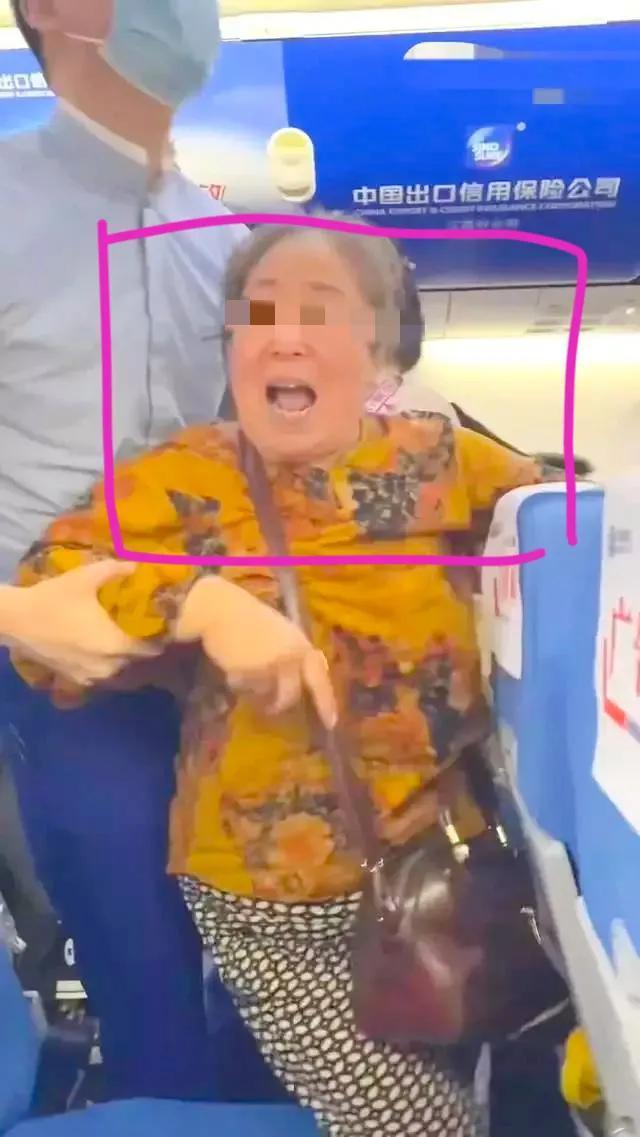 日本现役飞机概览,日本现役飞机概览与特点解析