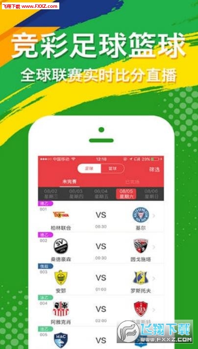 探索王中王开奖十记录网，一场数字游戏之旅，数字游戏之旅，探索王中王开奖十记录网