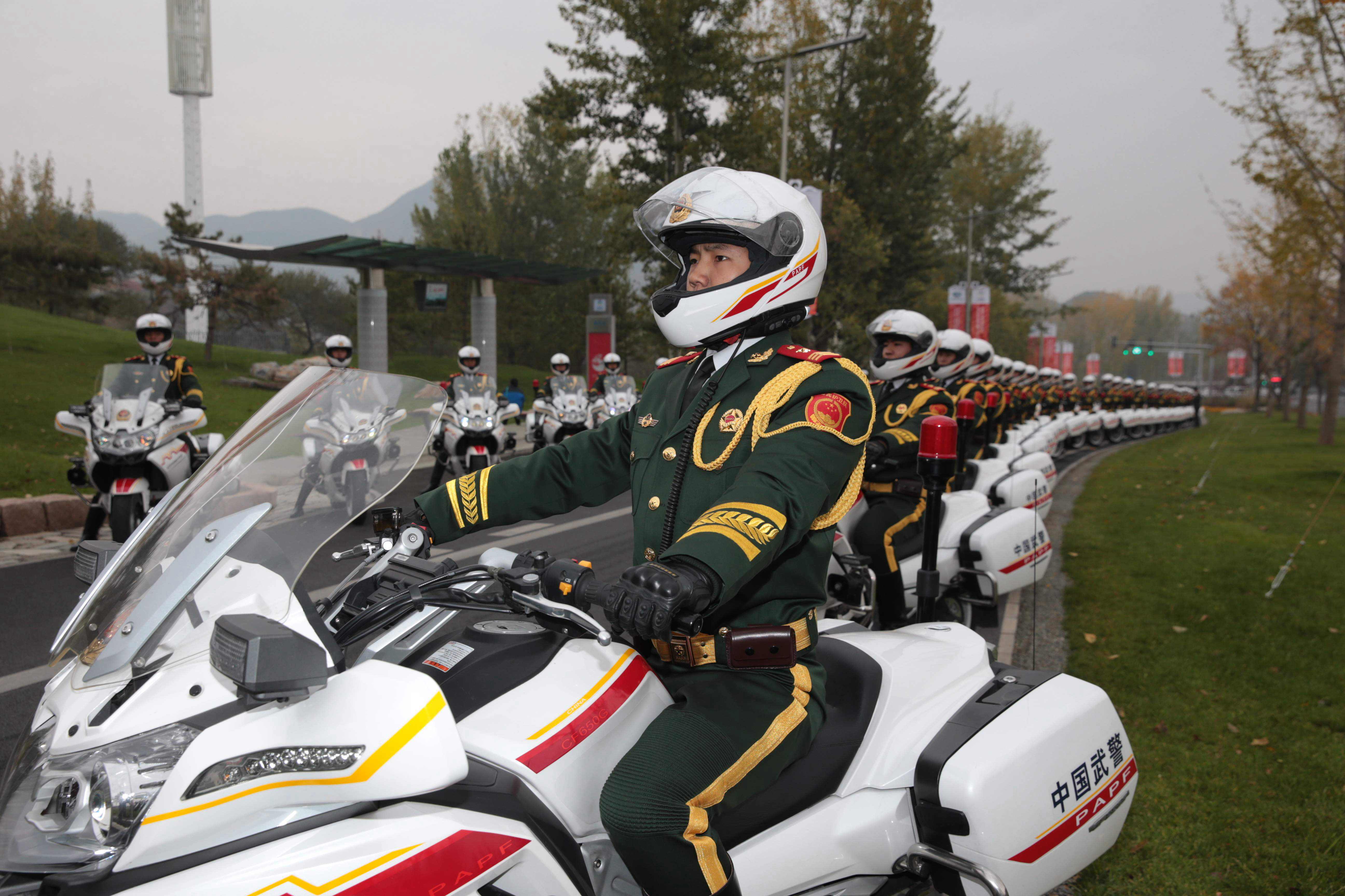 解放军国宾护卫队，荣耀与担当的象征，解放军国宾护卫队，荣耀与担当的礼仪之师