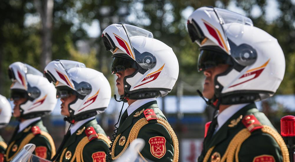 解放军国宾护卫队,荣耀与担当的象征,解放军国宾护卫队,荣耀与担当的礼仪之师