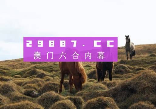 澳门彩票开奖结果查询系统,探索数字世界中的幸运之门(关键词,55123),澳门彩票开奖结果查询系统,探索幸运之门(关键词,55123)