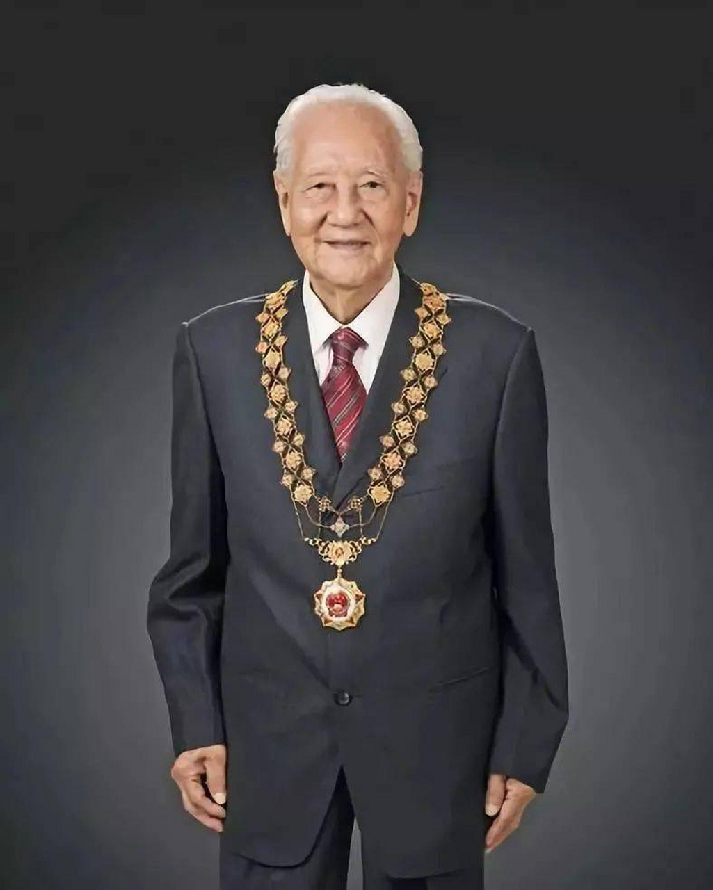 共和国勋章,四位卓越人物的荣耀与贡献,共和国勋章,四位卓越人物的荣耀与卓越贡献