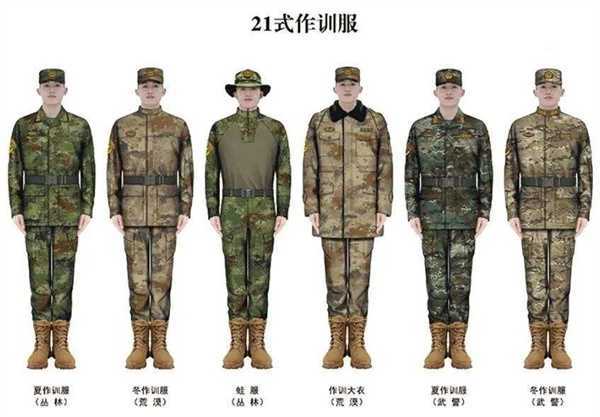 中国陆军臂章图片,历史、象征与荣耀,中国陆军臂章,历史、象征与荣耀的印记