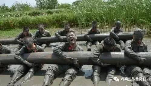 战略支援部队与特种作战,探索与解析,战略支援部队与特种作战,深度探索与解析