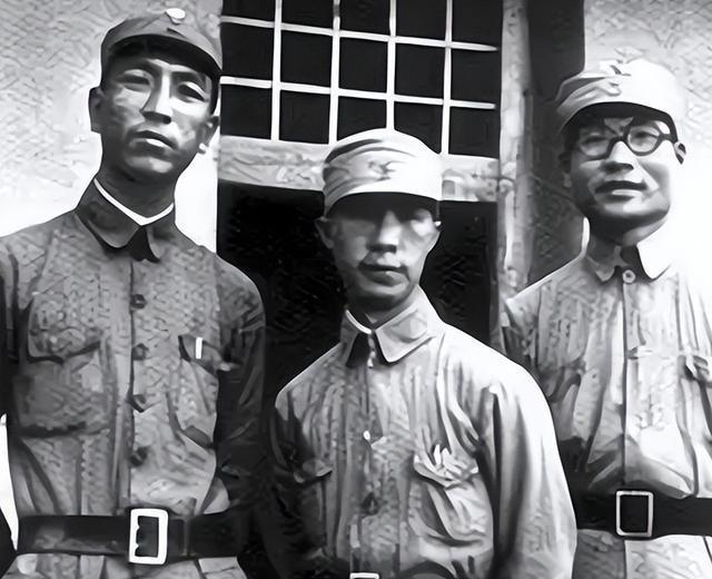 海南岛战役，历史转折的壮丽篇章（自XXXX年3月5日起），海南岛战役，历史转折的壮丽篇章（XXXX年回顾）