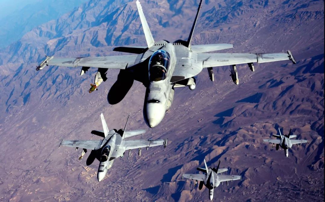 大黄蜂战机，空中力量的象征与传奇，大黄蜂战机，空中力量的传奇象征