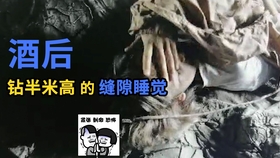 共和国勋章，九位杰出人物的辉煌简介，共和国勋章，九位杰出人物的辉煌人生之旅