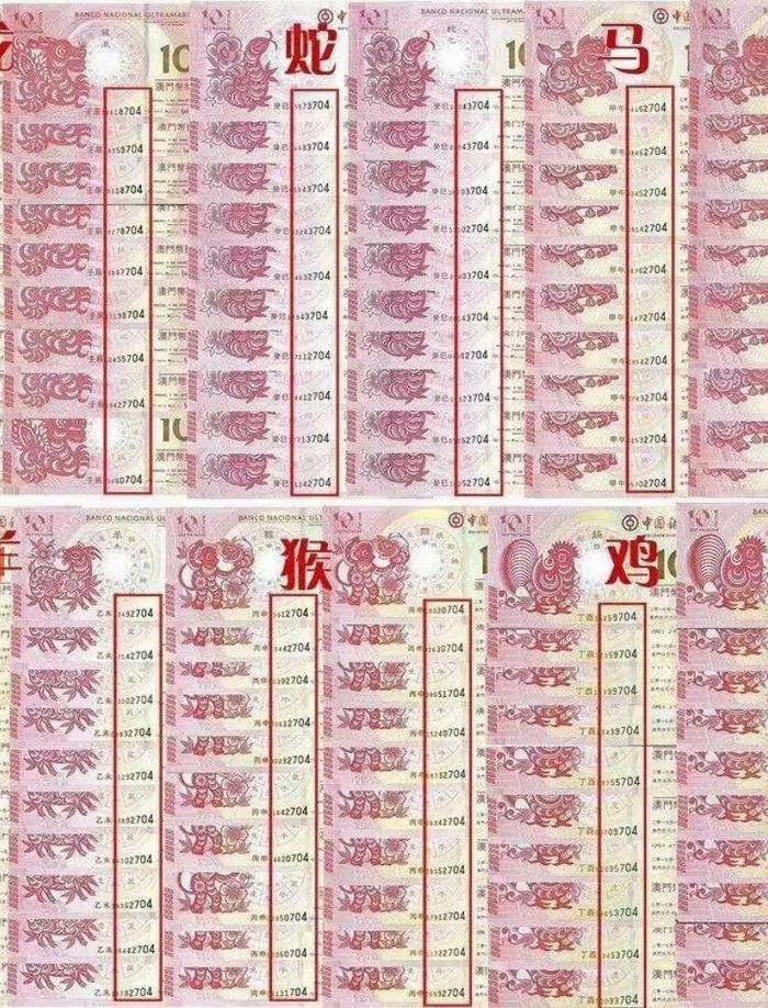 澳门最快开奖六开生肖卡，探索与解析，澳门六开生肖卡开奖探索与解析