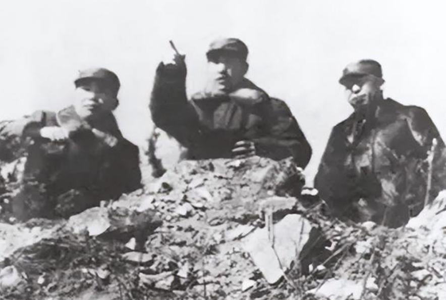海南岛战役,双方兵力对比深度解析,海南岛战役,兵力对比深度剖析