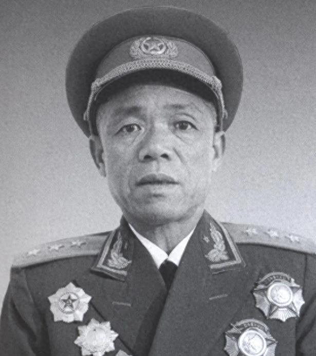 海南岛战役,双方兵力对比深度解析,海南岛战役,兵力对比深度剖析