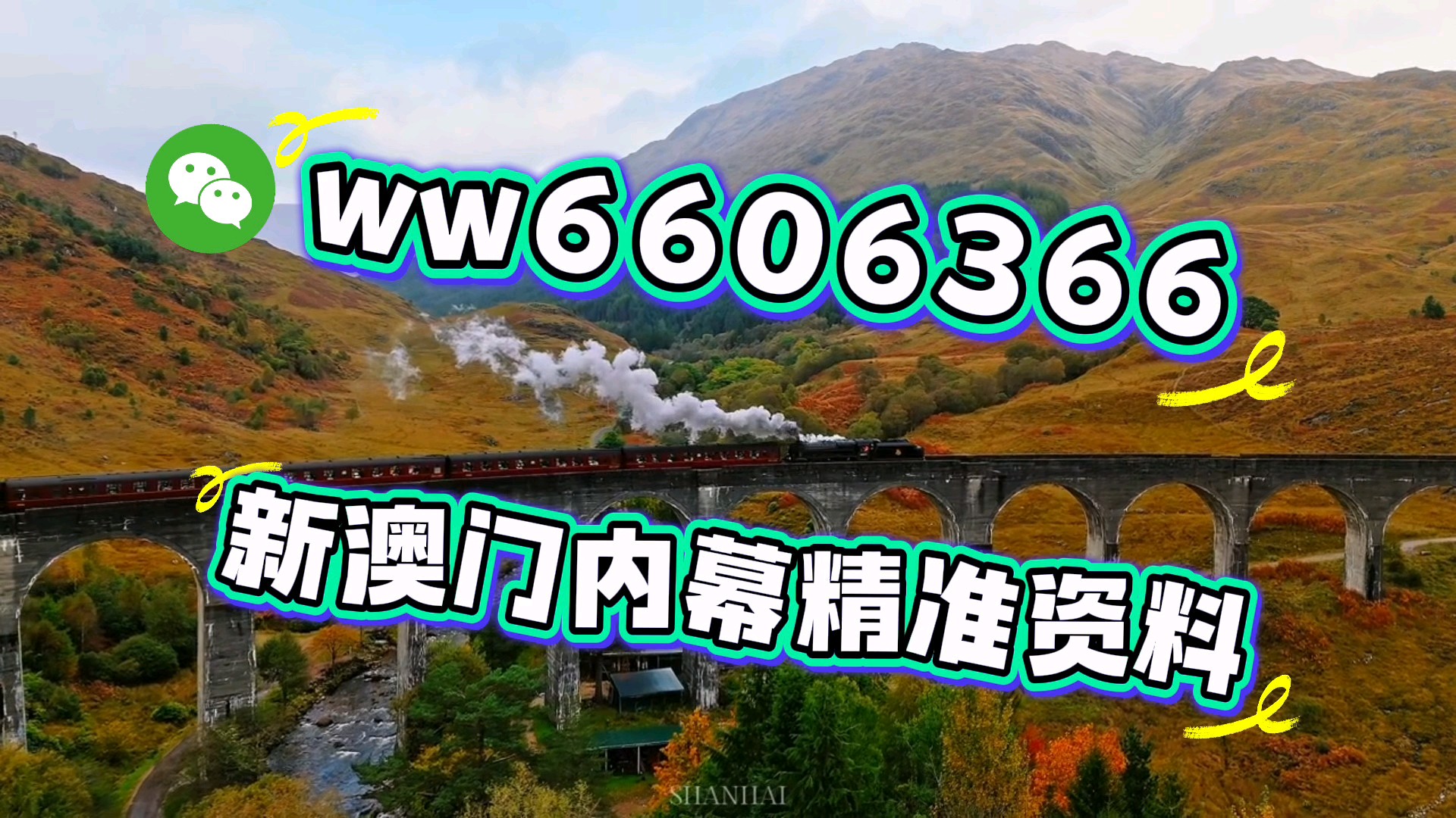 澳门彩票直播