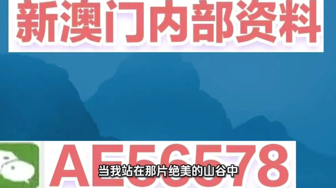 澳门特马今晚开奖49,探索与期待,澳门特马今晚开奖49,探索之路与期待之夜