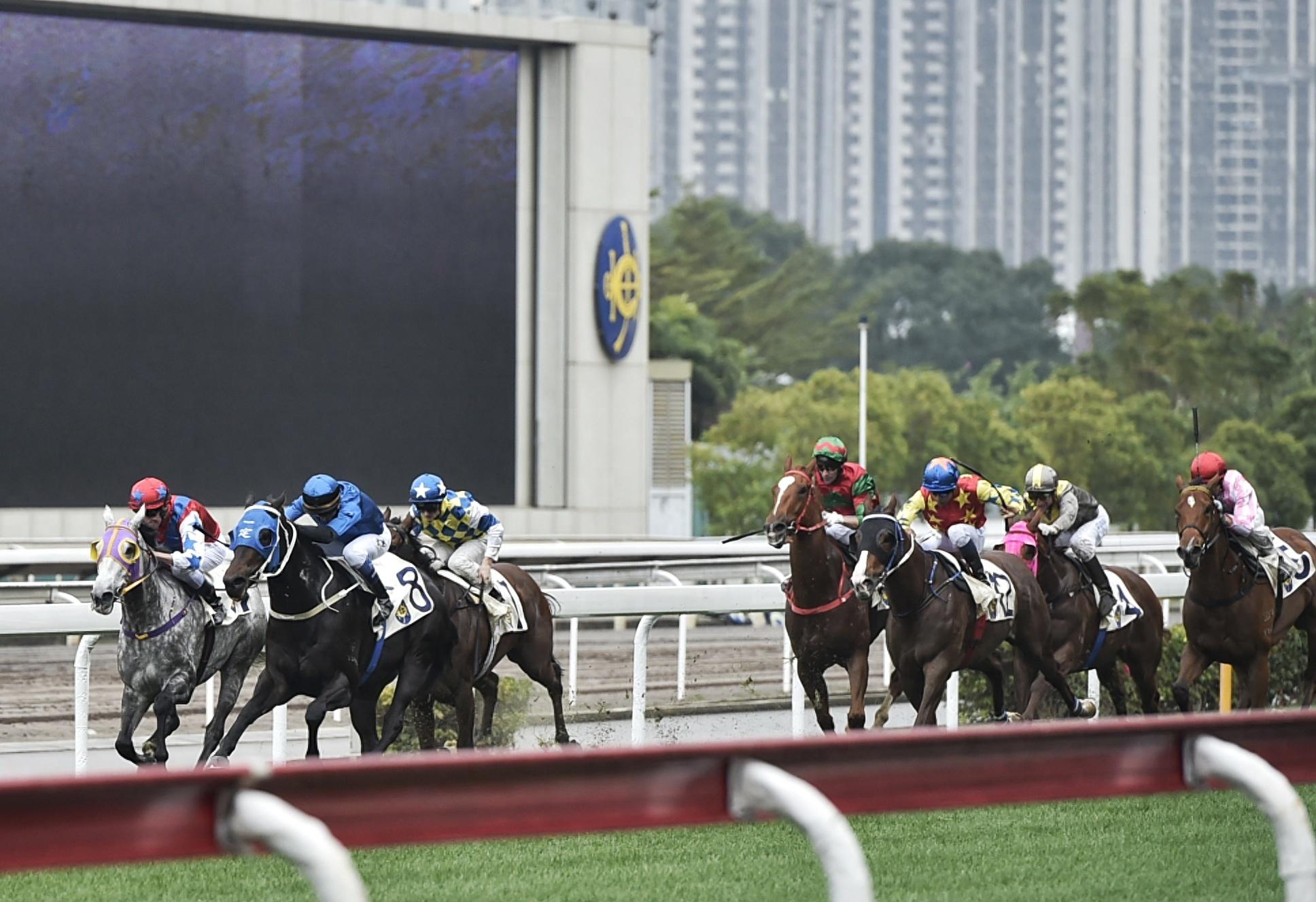 澳门赛马会资料最准一码——深度解析与前瞻性观察,澳门赛马会资料最准一码,深度分析与前瞻性观察