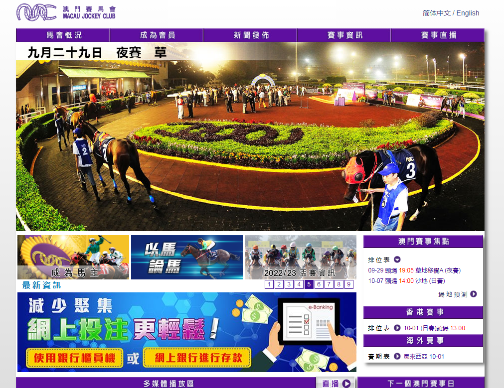 澳门赛马会资料最准一码——深度解析与前瞻性观察,澳门赛马会资料最准一码,深度分析与前瞻性观察