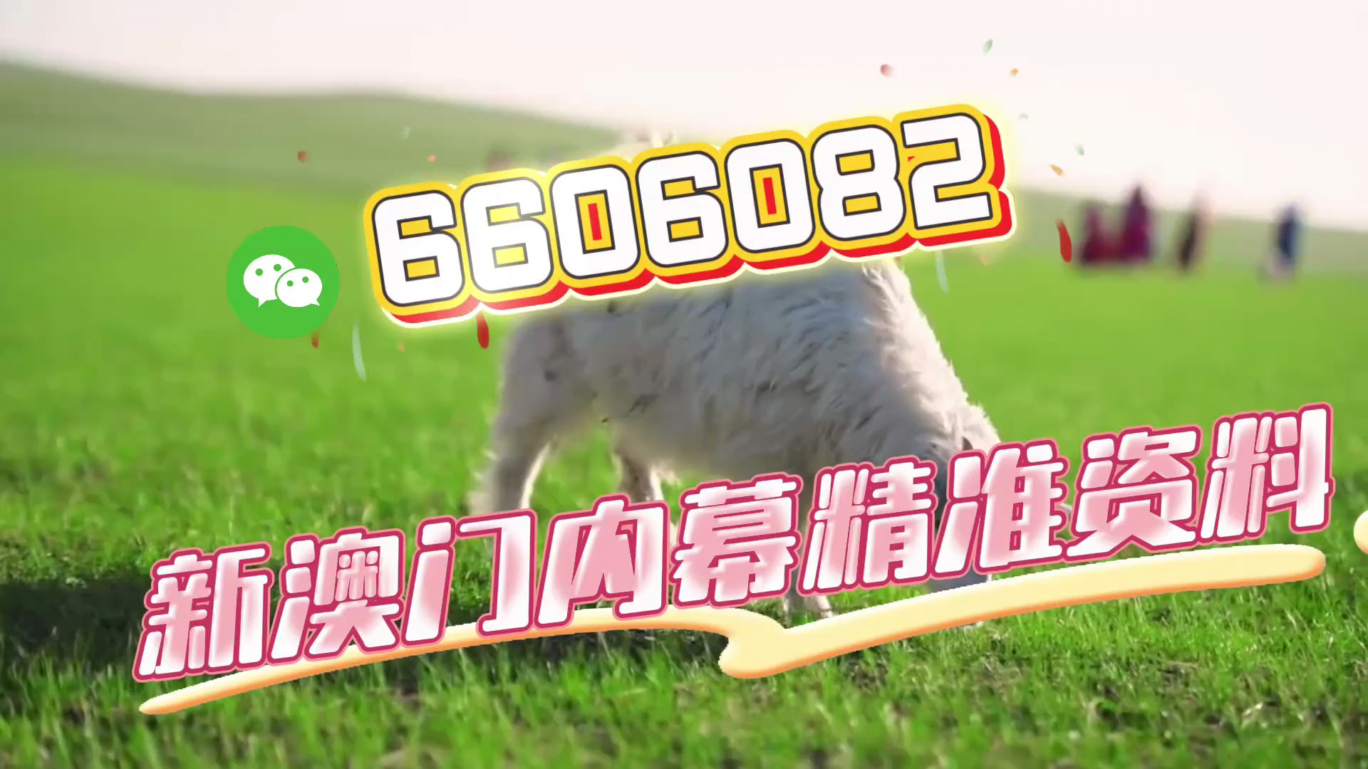 澳门特一肖一码