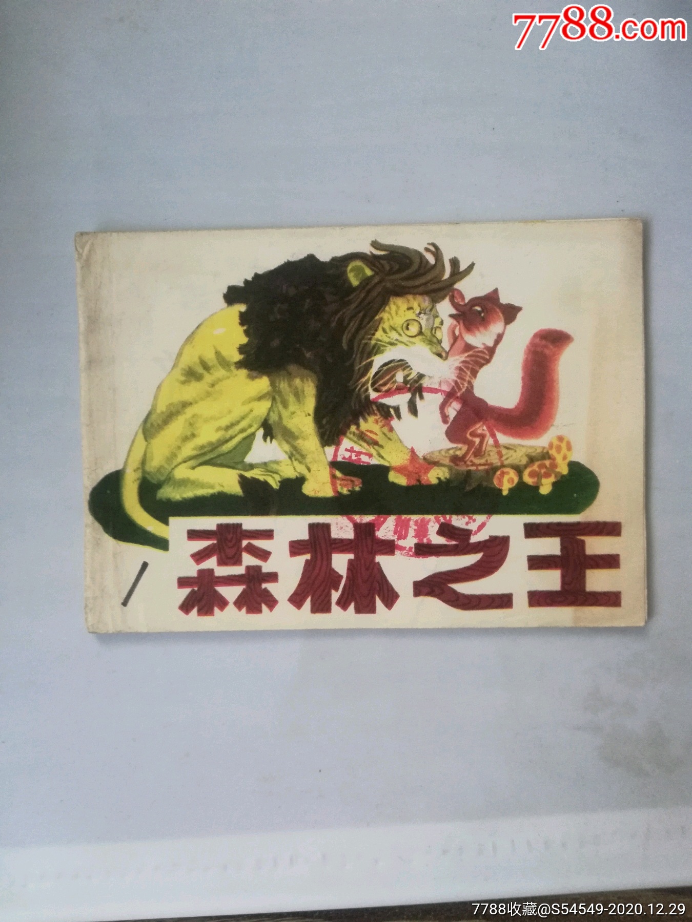 森林王中王打一肖，探寻生肖中的王者风范，森林之王揭秘，揭秘生肖王者风范