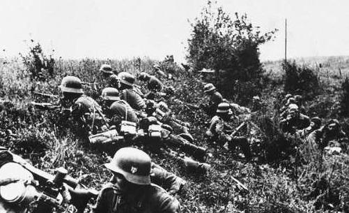 黄蜂级两栖攻击舰编号,强大的海上力量与多维作战能力的象征,黄蜂级两栖攻击舰编号,多维作战的强大海上力量象征