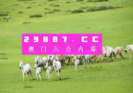 澳门内部资料精准大全2023年概述,澳门内部资料精准大全概览,2023年概述