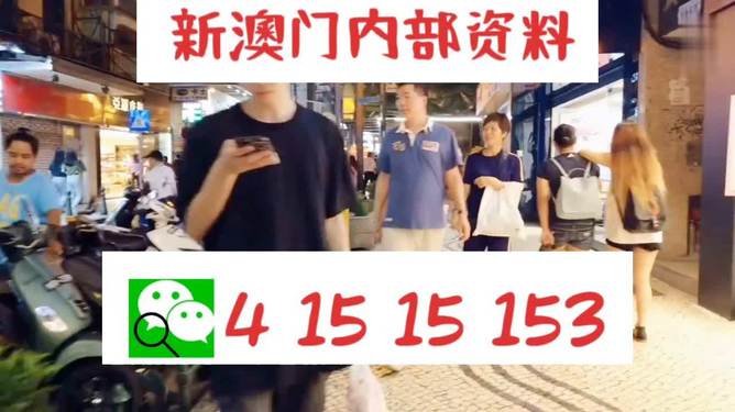 新澳门码精准资料,探索与解读,新澳门码精准资料深度解读与探索