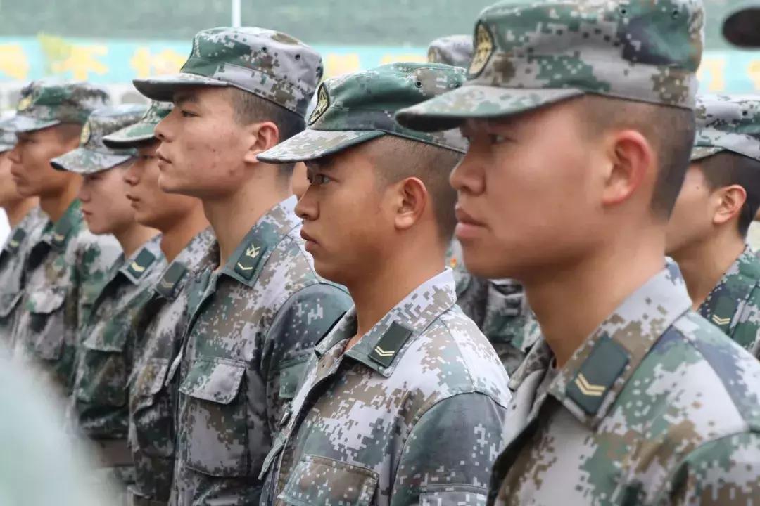 两会部队士官改革最新消息深度解读,两会部队士官改革最新动态深度解析