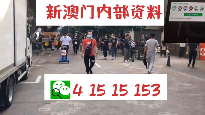澳门管家婆——探索100中的奥秘,澳门管家婆揭秘,探索数字100的神秘面纱