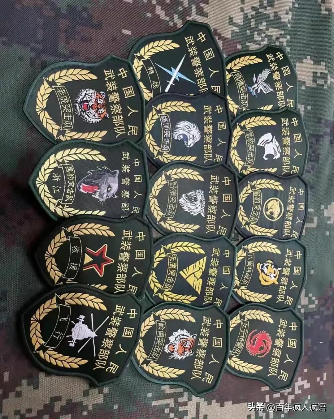 中国人民武装警察部队特种警察学院培养出的学员,是否为公务人员?,中国人民武装警察部队特种警察学院学员身份解析,是否为公务人员?