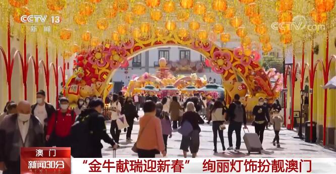 澳门金牛网金牛版论坛,探索与解析,澳门金牛网金牛版论坛深度探索与解析