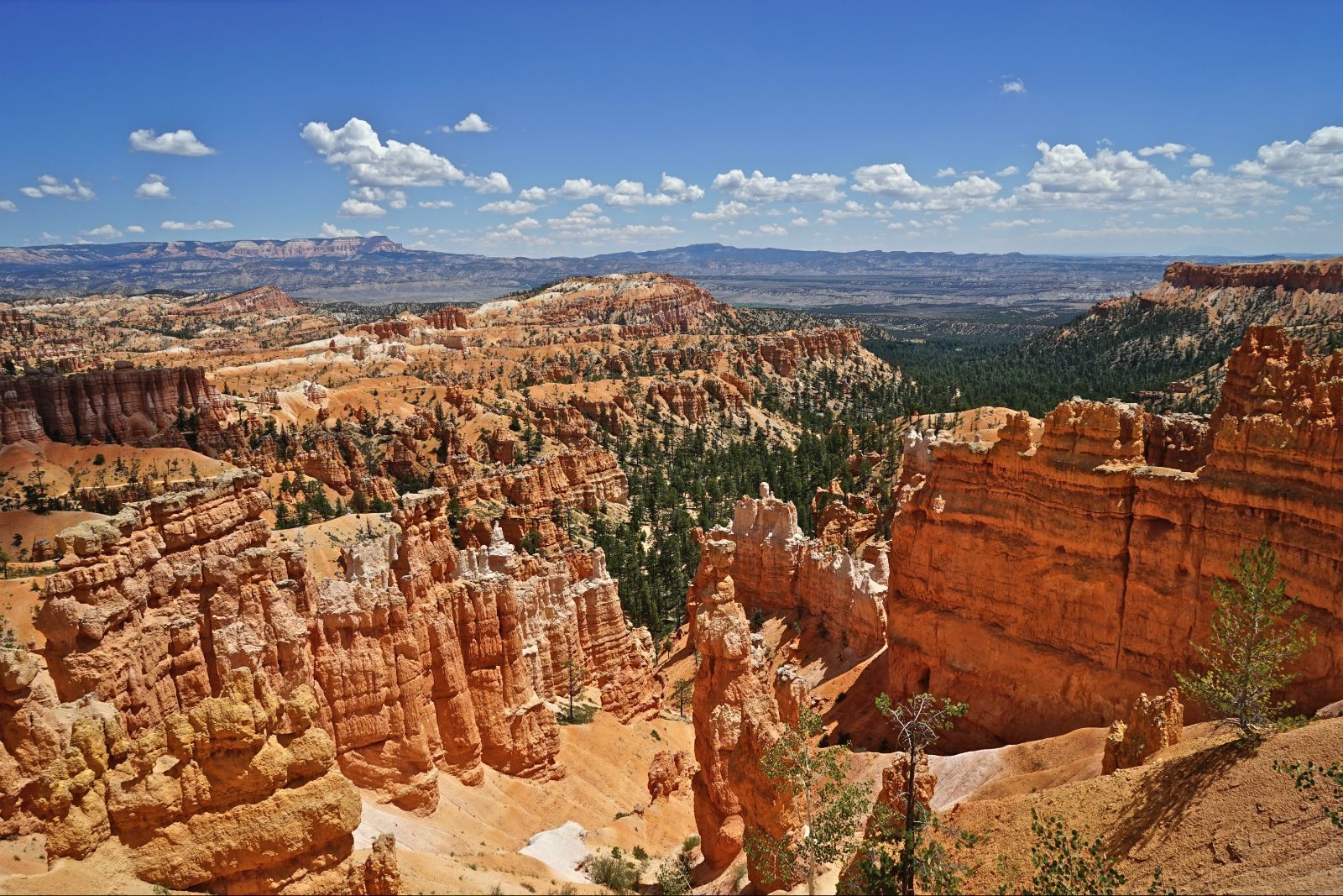 美国西部,历史、文化与自然的壮丽画卷,美国西部,历史、文化与自然的壮丽探秘之旅