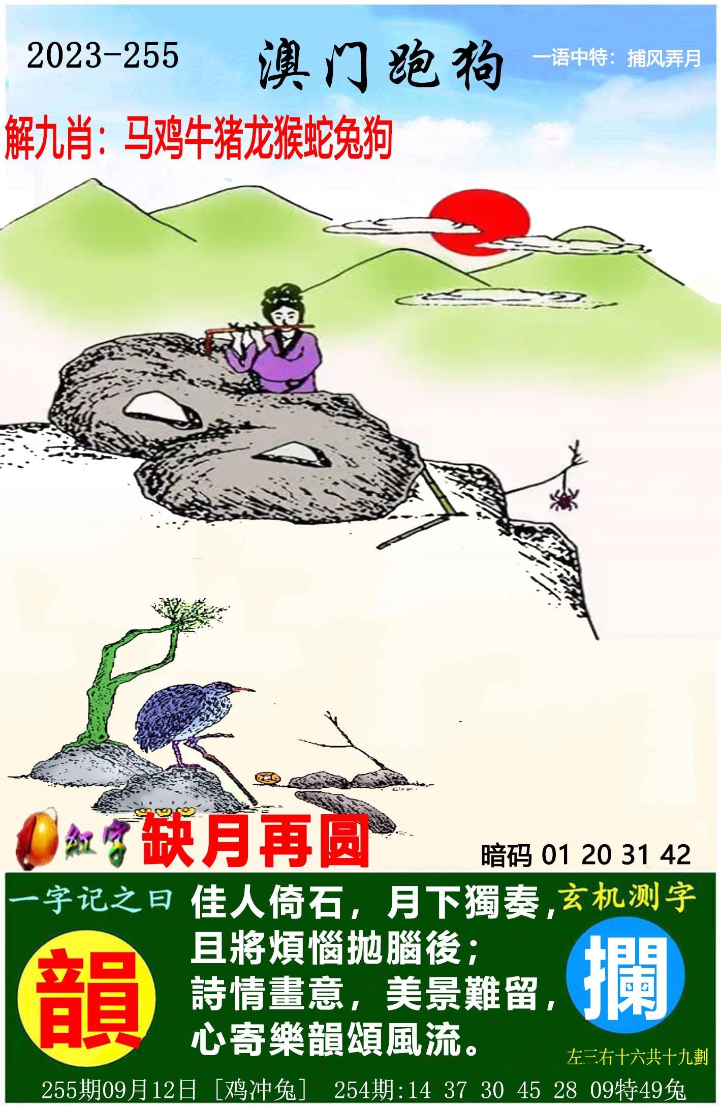 澳门天天开好彩大全第53期,探索与期待,澳门第53期天天开好彩,探索与期待的新篇章