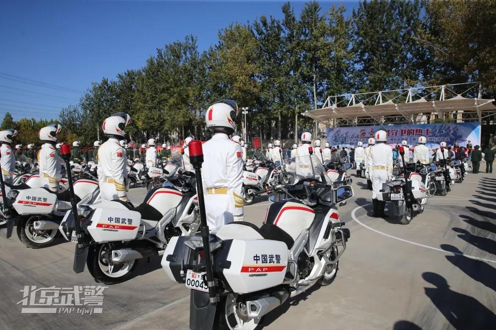 国宾护卫队口令,荣誉与责任的象征,国宾护卫队口令,荣誉与责任的独特标志