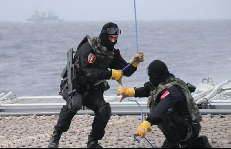 电影蛟龙突击队,英勇无畏的战场先锋,电影蛟龙突击队,战场上的英勇先锋