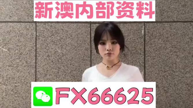 澳门正版资料大全的特色功能及其应用,澳门正版资料大全,特色功能概览与应用场景解析