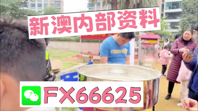 澳门正版资料大全的特色功能及其应用,澳门正版资料大全,特色功能概览与应用场景解析