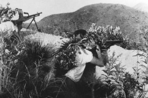 福建省与台湾最新消息，深化合作，共谋发展，福建省与台湾深化合作，共谋发展新篇章