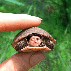 裤裆藏雷——歇后语背后的故事与启示，裤裆藏雷，歇后语的背后故事与深层启示