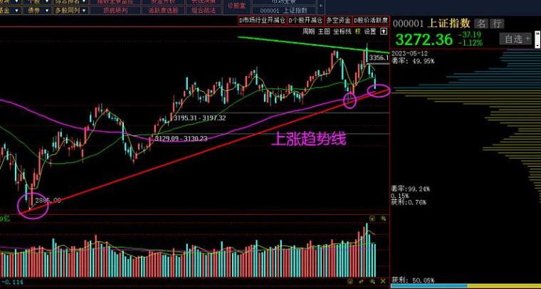 王中王资科一肖中持天,探索未知领域的先锋力量,王中王资科一肖,先锋力量探索未知领域